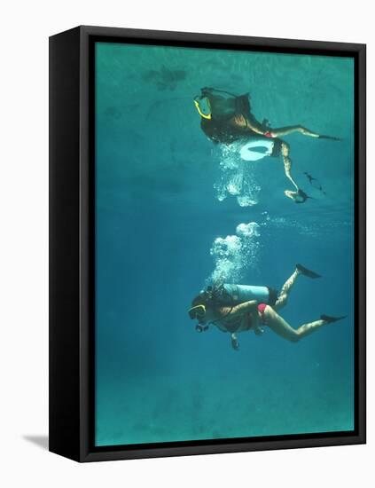 Scuba Diver-Peter Scoones-Framed Premier Image Canvas