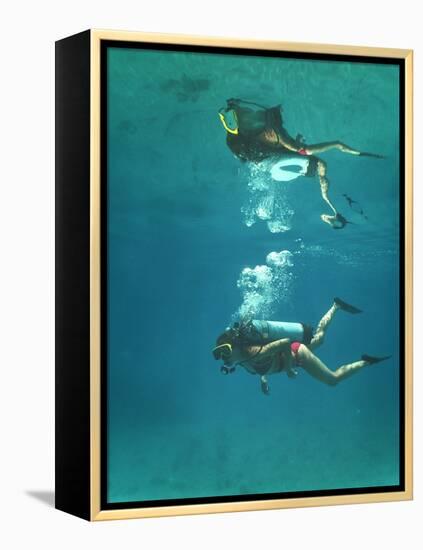 Scuba Diver-Peter Scoones-Framed Premier Image Canvas