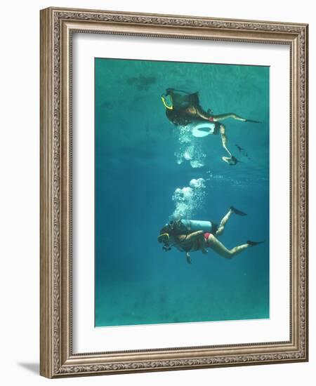 Scuba Diver-Peter Scoones-Framed Photographic Print