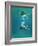 Scuba Diver-Peter Scoones-Framed Photographic Print