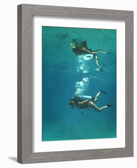 Scuba Diver-Peter Scoones-Framed Photographic Print