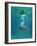 Scuba Diver-Peter Scoones-Framed Photographic Print