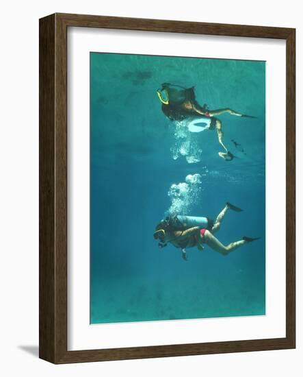 Scuba Diver-Peter Scoones-Framed Photographic Print