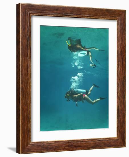 Scuba Diver-Peter Scoones-Framed Photographic Print