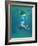 Scuba Diver-Peter Scoones-Framed Photographic Print