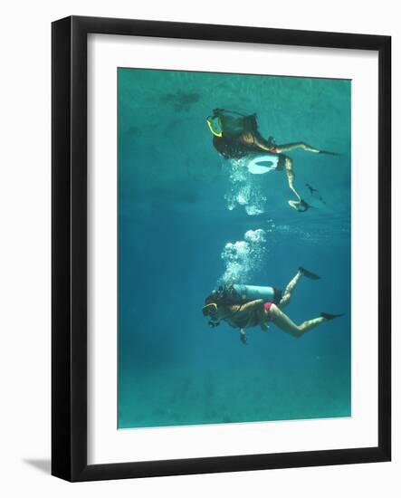 Scuba Diver-Peter Scoones-Framed Photographic Print