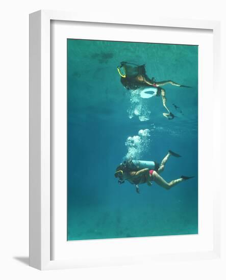 Scuba Diver-Peter Scoones-Framed Photographic Print