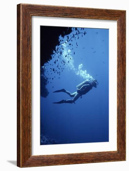 Scuba Diver-Geoff Tompkinson-Framed Photographic Print