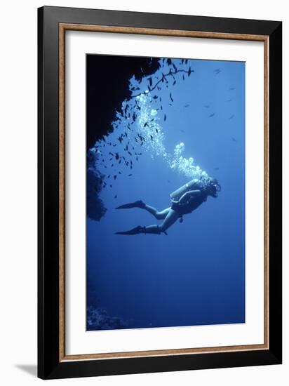 Scuba Diver-Geoff Tompkinson-Framed Photographic Print