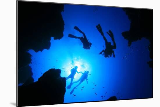 Scuba Divers about to Descend into an Underwater Canyon-Rich Carey-Mounted Photographic Print