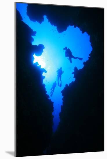 Scuba Divers Descend into Underwater Cavern, Silhouetted against Sun-Rich Carey-Mounted Photographic Print
