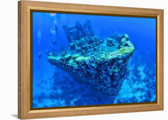 Scuba divers swimming near Jane C Shipwreck in sea, Aruba, Caribbean-null-Framed Premier Image Canvas