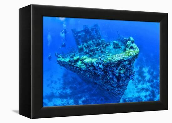 Scuba divers swimming near Jane C Shipwreck in sea, Aruba, Caribbean-null-Framed Premier Image Canvas