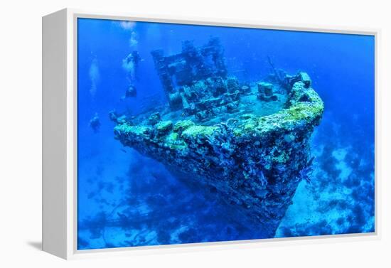 Scuba divers swimming near Jane C Shipwreck in sea, Aruba, Caribbean-null-Framed Premier Image Canvas