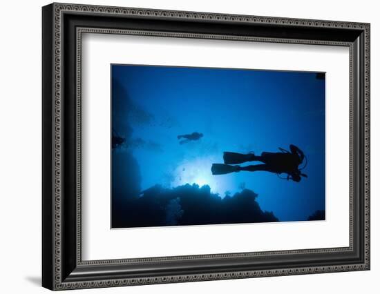 Scuba Divers Swimming Near Reef-Paul Souders-Framed Photographic Print