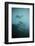 Scuba Divers Wreck Diving, Southern Thailand, Andaman Sea, Indian Ocean, Southeast Asia, Asia-Andrew Stewart-Framed Photographic Print