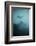 Scuba Divers Wreck Diving, Southern Thailand, Andaman Sea, Indian Ocean, Southeast Asia, Asia-Andrew Stewart-Framed Photographic Print