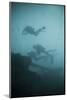 Scuba Divers Wreck Diving, Southern Thailand, Andaman Sea, Indian Ocean, Southeast Asia, Asia-Andrew Stewart-Mounted Photographic Print