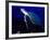 Scuba Diving in Soufriere Bay with Loggerhead Turtle, Dominica, Caribbean-Greg Johnston-Framed Photographic Print