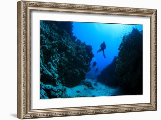 Scuba Diving in Underwater Canyon-Rich Carey-Framed Photographic Print