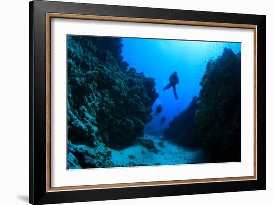 Scuba Diving in Underwater Canyon-Rich Carey-Framed Photographic Print