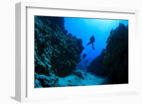 Scuba Diving in Underwater Canyon-Rich Carey-Framed Photographic Print