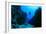 Scuba Diving in Underwater Canyon-Rich Carey-Framed Photographic Print