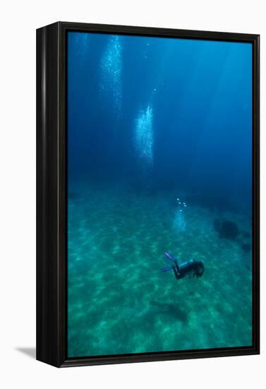 Scuba Diving-Matthew Oldfield-Framed Premier Image Canvas