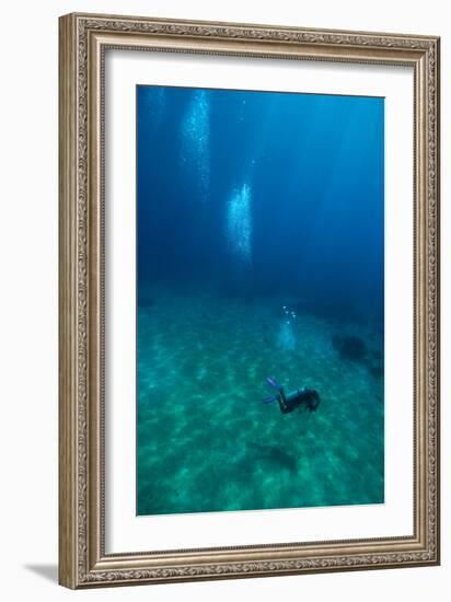 Scuba Diving-Matthew Oldfield-Framed Photographic Print