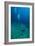 Scuba Diving-Matthew Oldfield-Framed Photographic Print