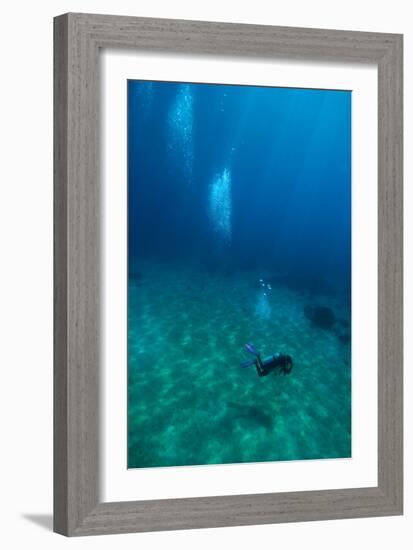 Scuba Diving-Matthew Oldfield-Framed Photographic Print