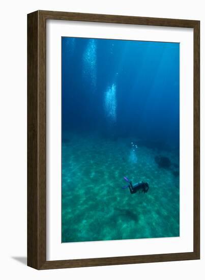 Scuba Diving-Matthew Oldfield-Framed Photographic Print