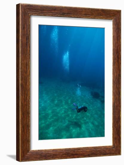 Scuba Diving-Matthew Oldfield-Framed Photographic Print