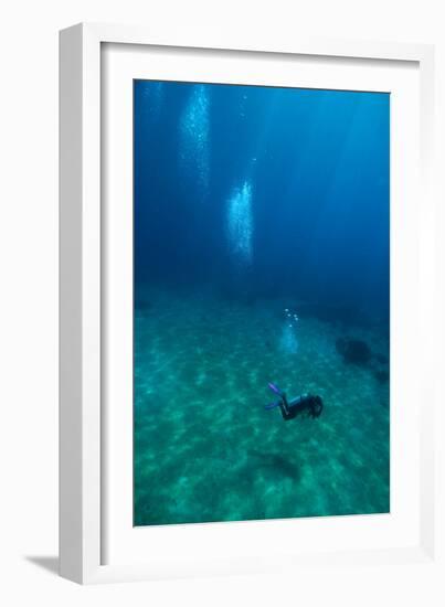 Scuba Diving-Matthew Oldfield-Framed Photographic Print