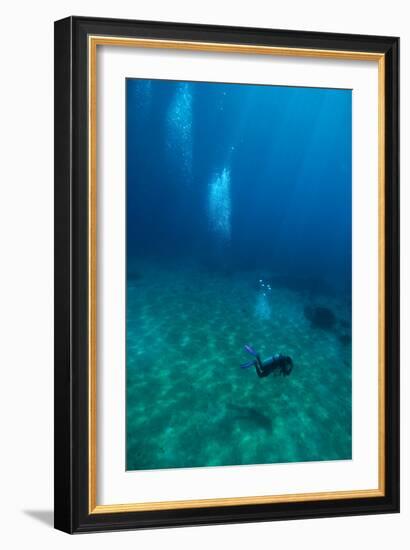 Scuba Diving-Matthew Oldfield-Framed Photographic Print