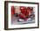 Scuderia Ferrari F1, Fernando Alonso, 2012-viledevil-Framed Photographic Print