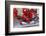 Scuderia Ferrari F1, Fernando Alonso, 2012-viledevil-Framed Photographic Print