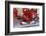 Scuderia Ferrari F1, Fernando Alonso, 2012-viledevil-Framed Photographic Print