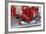 Scuderia Ferrari F1, Fernando Alonso, 2012-viledevil-Framed Photographic Print