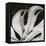 Sculpted Leaf, Hawaii, 1979 (silver gelatin print)-Brett Weston-Framed Premier Image Canvas