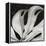 Sculpted Leaf, Hawaii, 1979 (silver gelatin print)-Brett Weston-Framed Premier Image Canvas