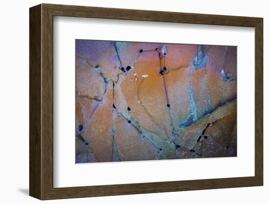 Sculptural Metal XI-Kathy Mahan-Framed Photographic Print