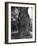 Sculptural Trunk of a Very Large Oak Tree-Alfred Eisenstaedt-Framed Photographic Print