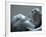 Sculpture Group Maternal Affection, c.1837-Edward Hodges Baily-Framed Photographic Print