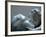 Sculpture Group Maternal Affection, c.1837-Edward Hodges Baily-Framed Photographic Print