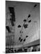 Photographic Print