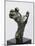 Sculpture of a Hand, Showing a Hand Strained in Tension-Auguste Rodin-Mounted Photographic Print