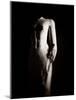 Sculpture of Unknown Person, Karnak Temple, Egypt-Clive Nolan-Mounted Photographic Print