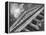 Sculptured Frieze of the US Supreme Court Building Emblazoned with Equal Justice under Law-Margaret Bourke-White-Framed Premier Image Canvas