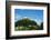 Scuol Tarasp (Tarasp Castle) (Schloss Tarasp), Engadine, Graubunden, Switzerland, Europe-Christian Kober-Framed Photographic Print